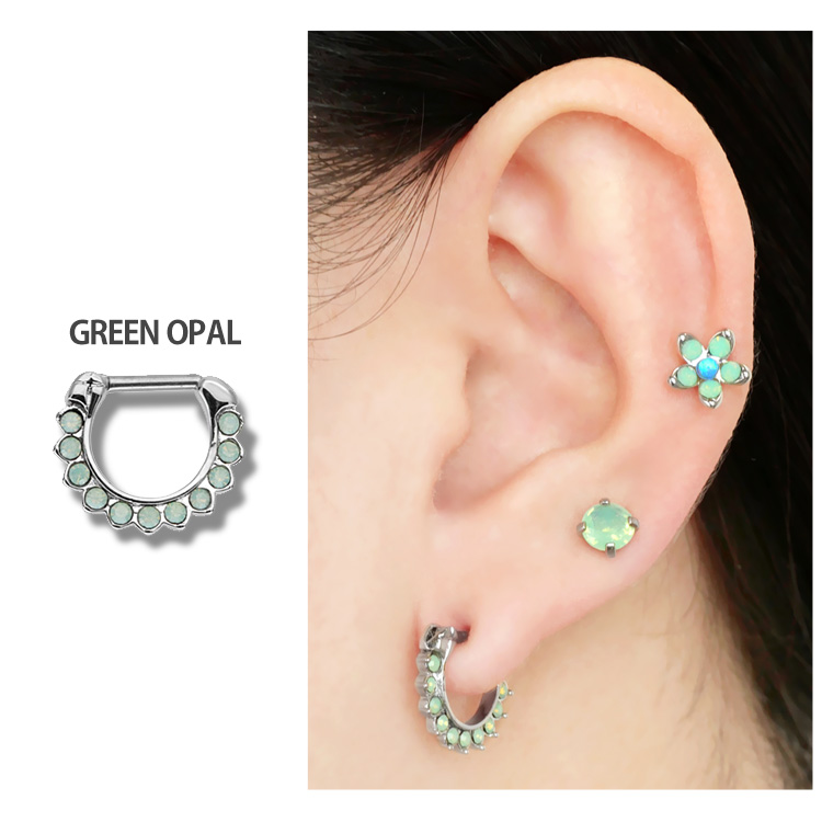 ガブリアス ピアス ガブリアス ピアス 送料無料 ガブリアス ピアス75 Pokmon accessory